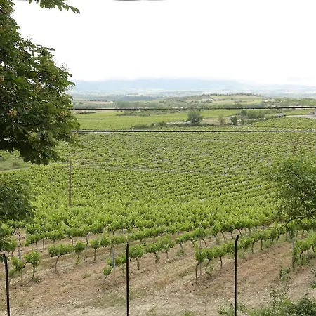 Vivienda Turistica Lore Artian. Lejlighed La Guardia