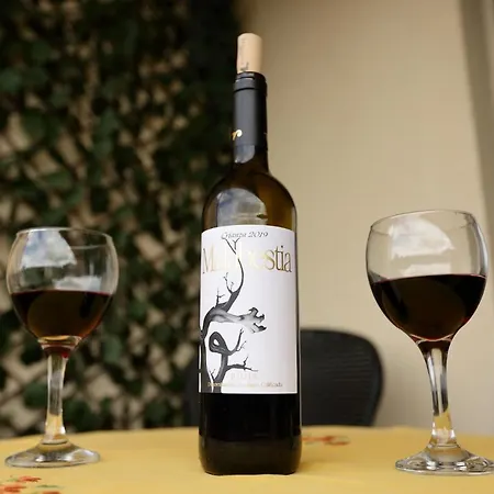 Vivienda Turistica Lore Artian. Lejlighed *